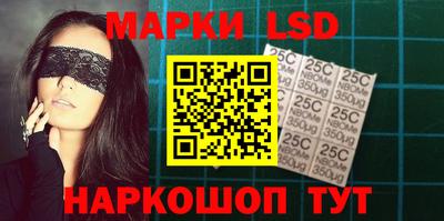 индика Можга