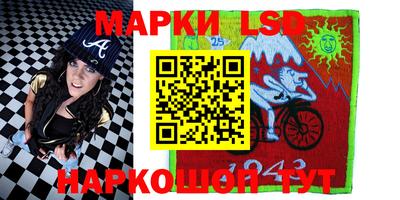 индика Можга