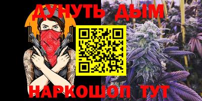индика Можга