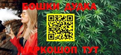 индика Можга