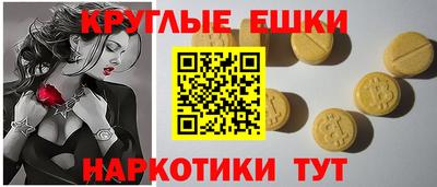 индика Можга
