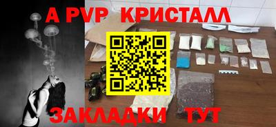 индика Можга