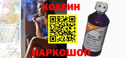 индика Можга