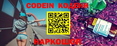 индика Можга