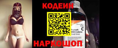 индика Можга