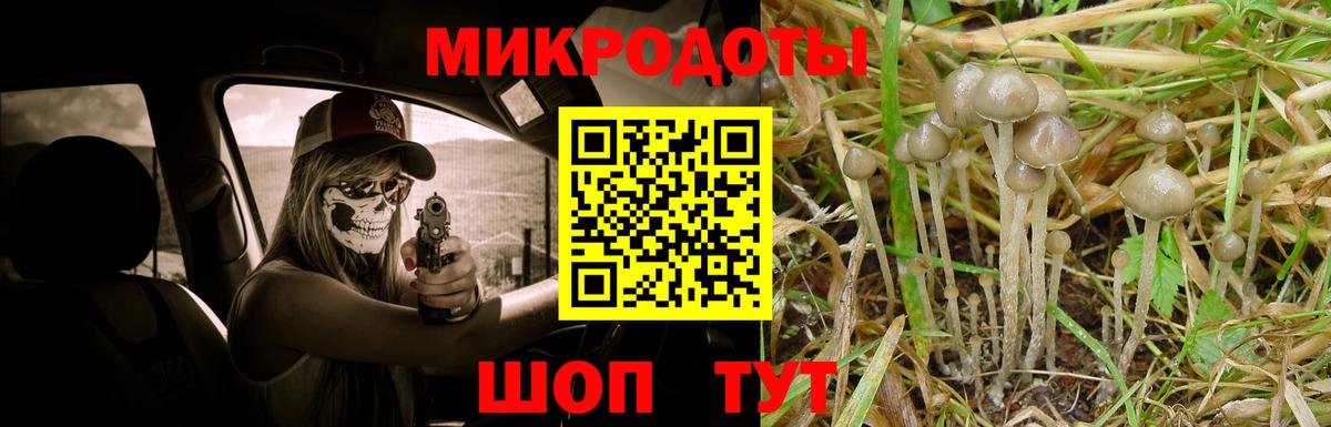 Галлюциногенные грибы GOLDEN TEACHER  Галлюциногенные грибы мухоморы  Вход с VPN  Гусев 