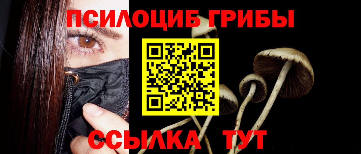 Галлюциногенные грибы GOLDEN TEACHER Гусев